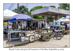 Bicycle Carts