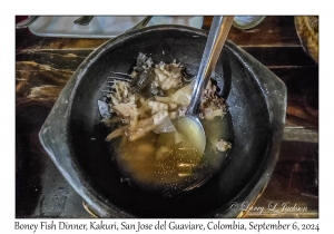 Boney Fish Dinner,