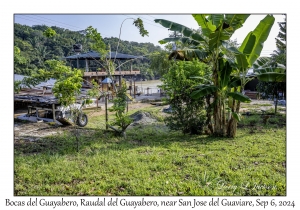 Bocas del Guayabero