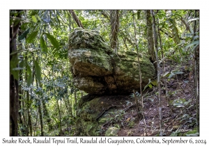 Snake Rock