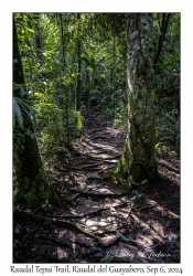 Raudal Tepui Trail
