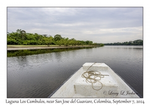 Laguna Los Cambulos