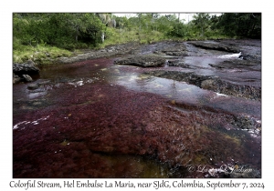 Colorful Stream