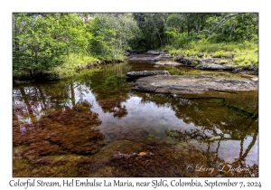 Colorful Stream