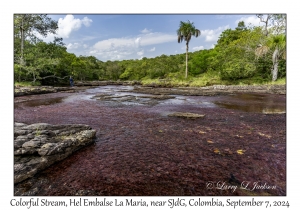 Colorful Stream