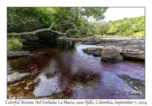 Colorful Stream