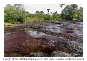 Colorful Stream