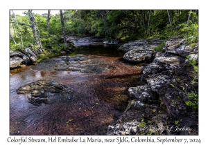 Colorful Stream