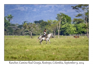 Rancher