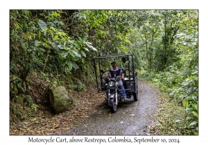 Motorcycle Cart