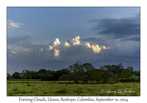 Evening Clouds