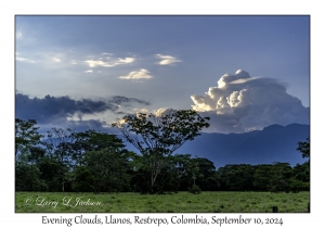 Evening Clouds