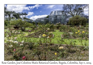 Rose Garden