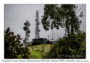 Communication Towers