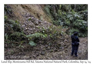 Land Slip