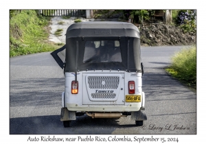 Auto Rickshaw