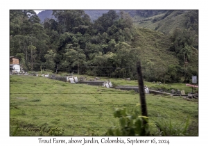 Trout Farm