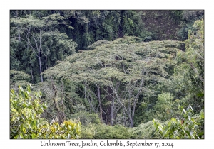 Unknown Trees