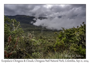 Ecopalacio Chingaza & Clouds