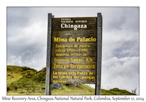 Mina de Palacio Recovery Area