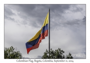 Colombian Flag