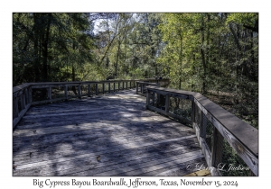 Big Cypress Bayou Boardwalk