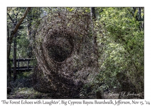 'The Forest Echoes with Laughter'