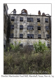 Derelict Martindale Feed Mill