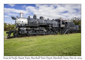 Texas & Pacific Steam Train