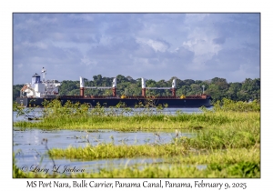 MS Port Nara