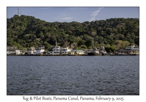 Tug & Pilot Boats