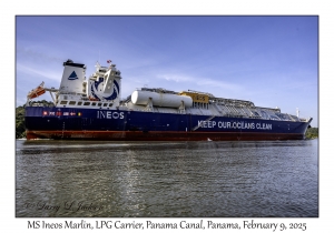 MS Ineos Marlin