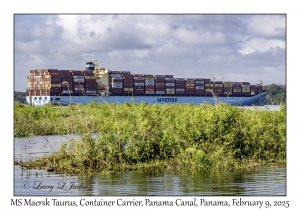 MS Maersk Taurus