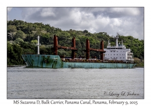 MS Suzanna D