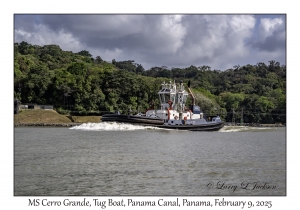 MS Cerro Grande