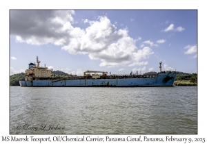 MS Maersk Teesport