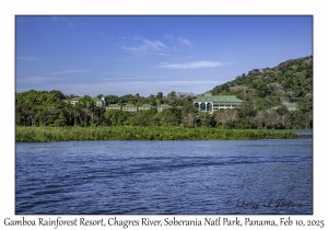 Gamboa Rainforest Resort