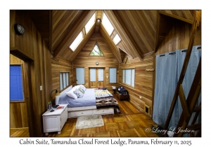 Cabin Suite