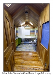 Cabin Suite