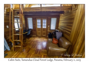 Cabin Suite