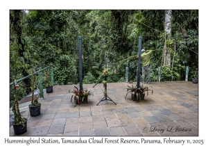 Hummingbird Station