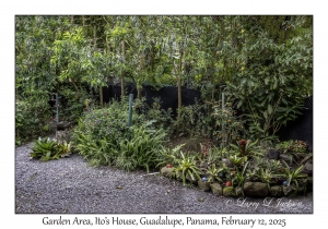 Garden Area