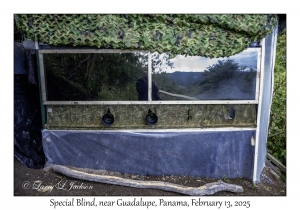 Special Blind