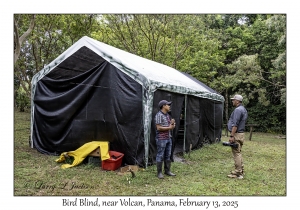Bird Blind