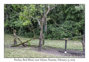 Perches