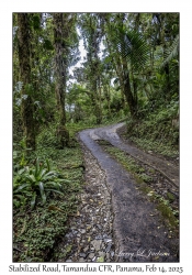 Stabilized Road
