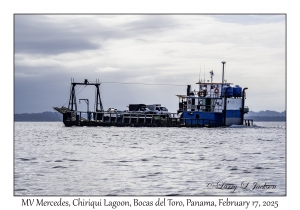 MV Mercedes