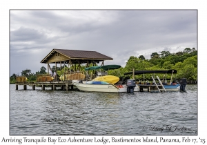 Arriving Tranquilo Bay Eco Adventure Lodge