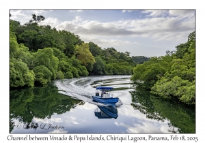 Channel between Venado & Popa Islands