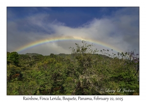 Rainbow